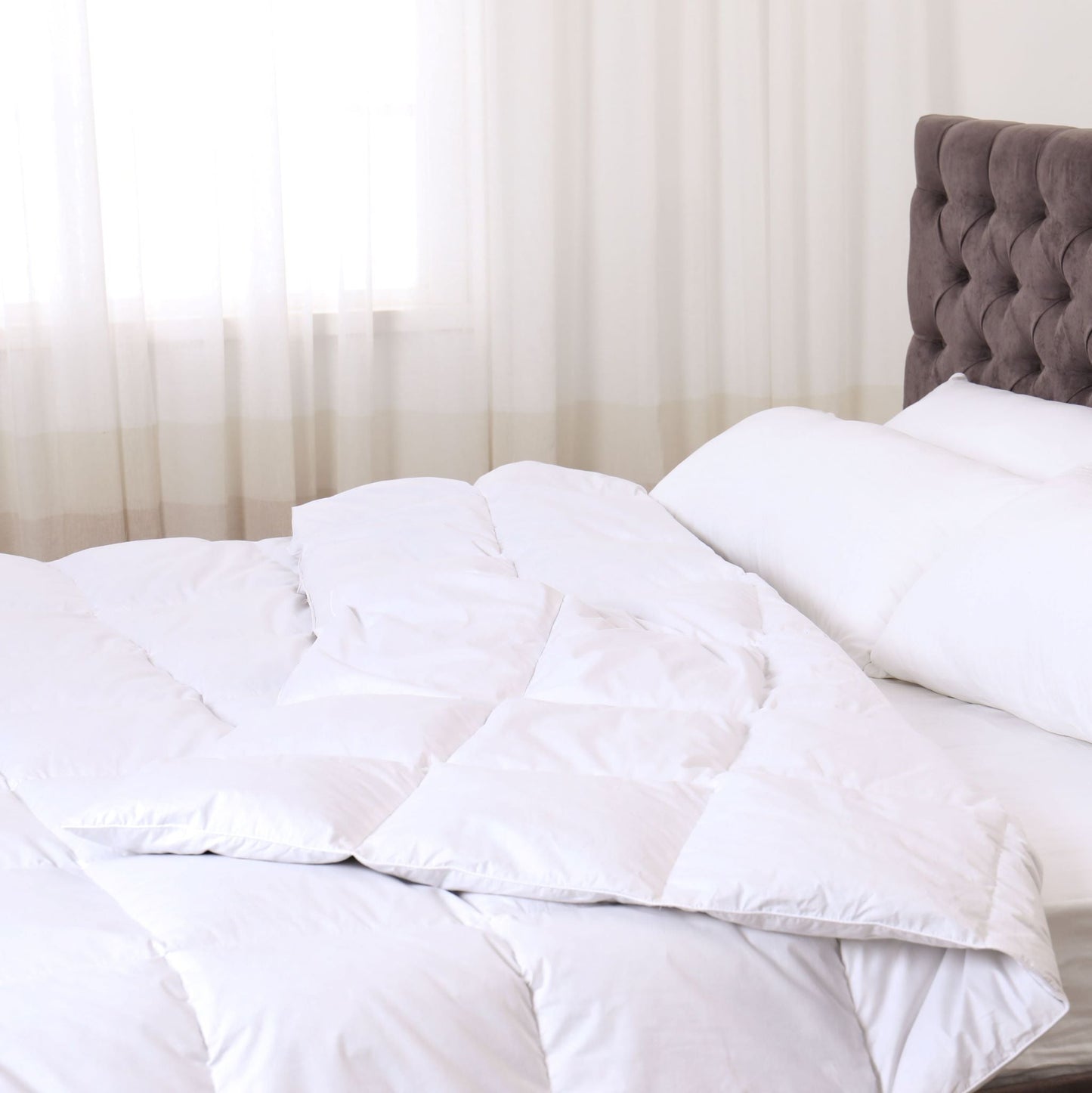 Cloud Down Alternative Comforter