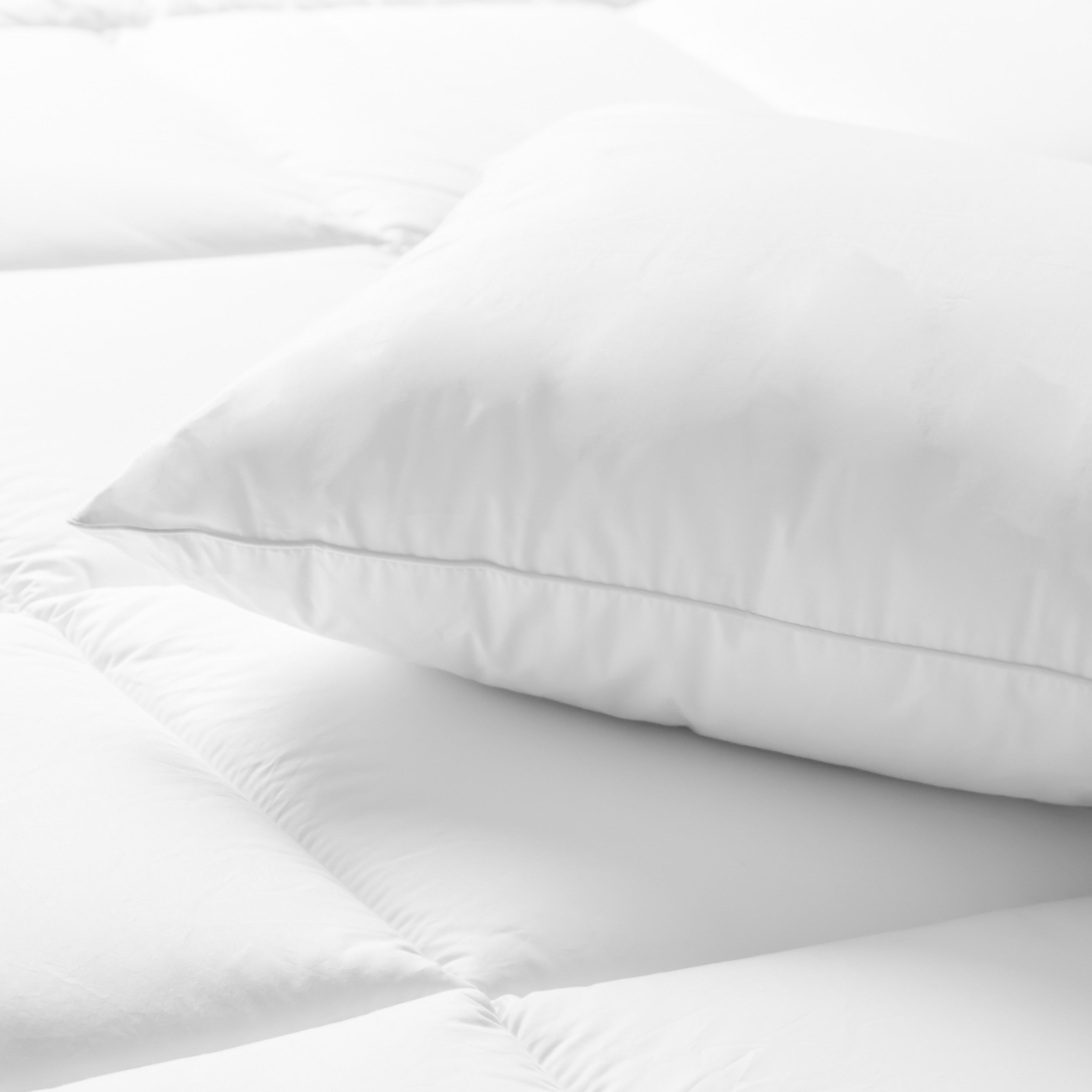 Cloud 650 White Down Pillow Standard